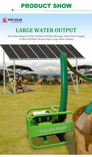 Top Quality Submersible Solar Water Pump with MPPT Controller for DC AC Hybrid, 3 Years Warranty