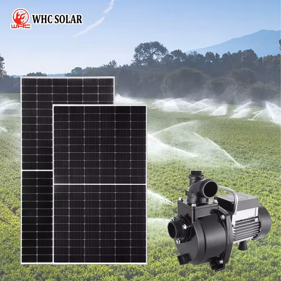Top Quality Submersible Solar Water Pump with MPPT Controller for DC AC Hybrid, 3 Years Warranty