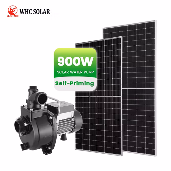 Top Quality Submersible Solar Water Pump with MPPT Controller for DC AC Hybrid, 3 Years Warranty