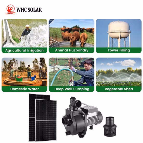 Top Quality Submersible Solar Water Pump with MPPT Controller for DC AC Hybrid, 3 Years Warranty
