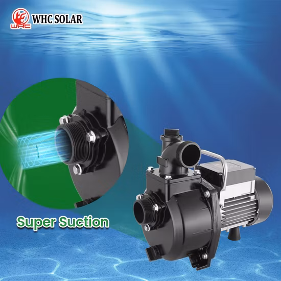 Hochwertige Tauch-Solarwasserpumpe mit MPPT-Regler für DC-AC-Hybrid, 3 Jahre Garantie